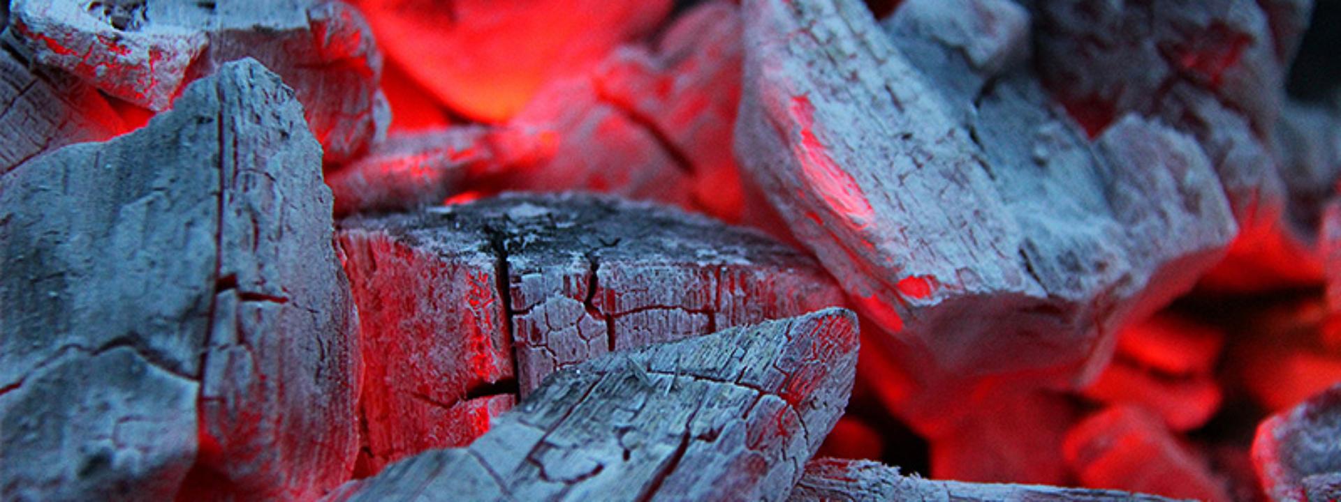 Carbón vegetal para parrilla y briquetas de carbón vegetal 